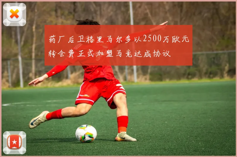 药厂后卫格里马尔多以2500万欧元转会费正式加盟马竞达成协议