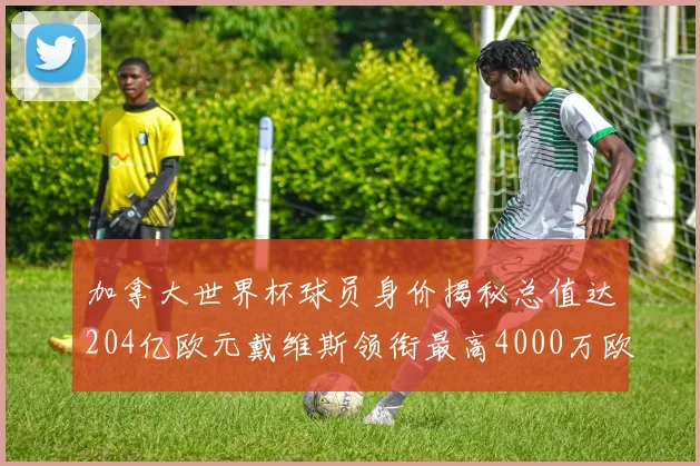 加拿大世界杯球员身价揭秘总值达204亿欧元戴维斯领衔最高4000万欧