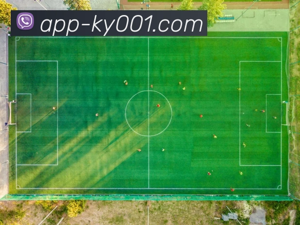 开云APP 封面图