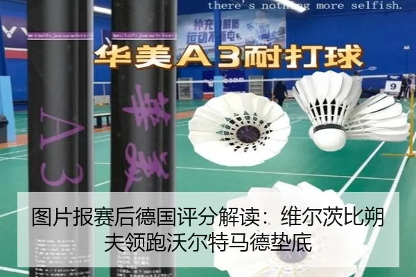 图片报赛后德国评分解读：维尔茨比朔夫领跑沃尔特马德垫底 | KaiyunAPP